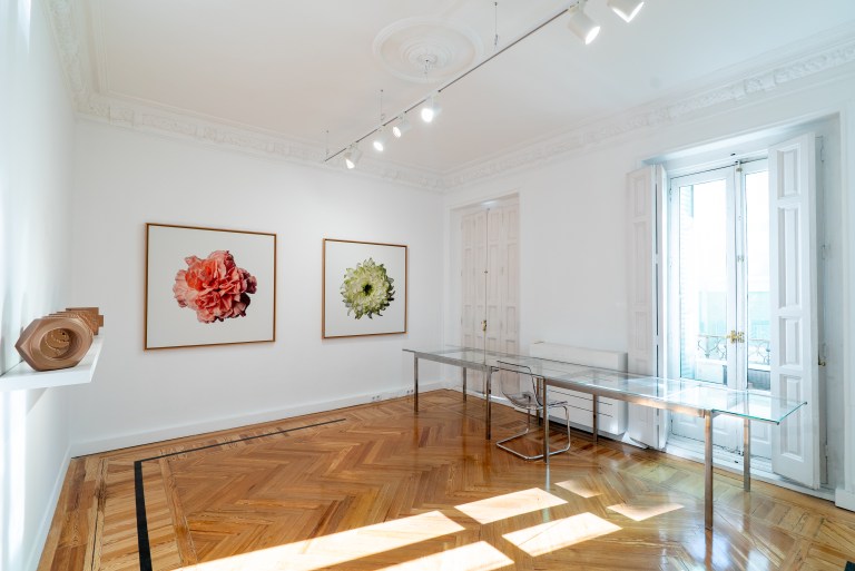 Sala 6 -7