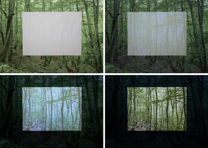 AntonioGuerracomportamiento101707414019_w1400