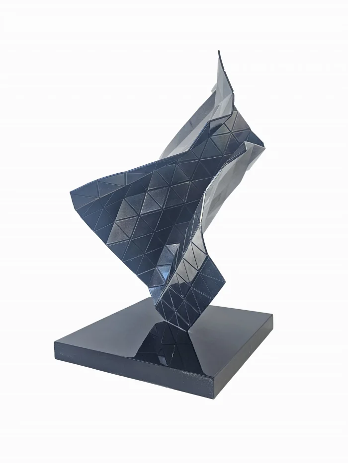 ES2404EspectrovisibleobjetoXIValumiiniolacado53x30x30cm200011725903619_w1400